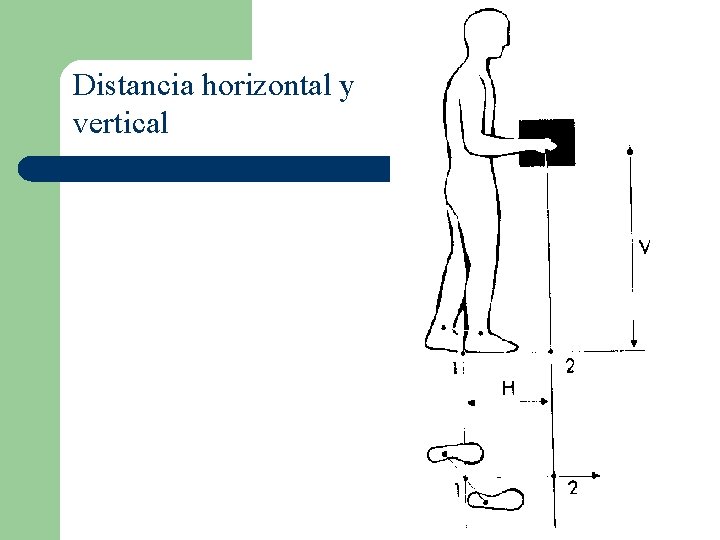 Distancia horizontal y vertical 
