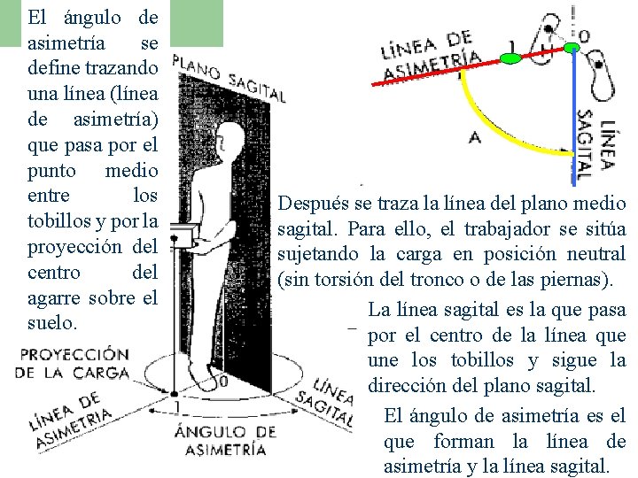 El ángulo de asimetría se define trazando una línea (línea de asimetría) que pasa