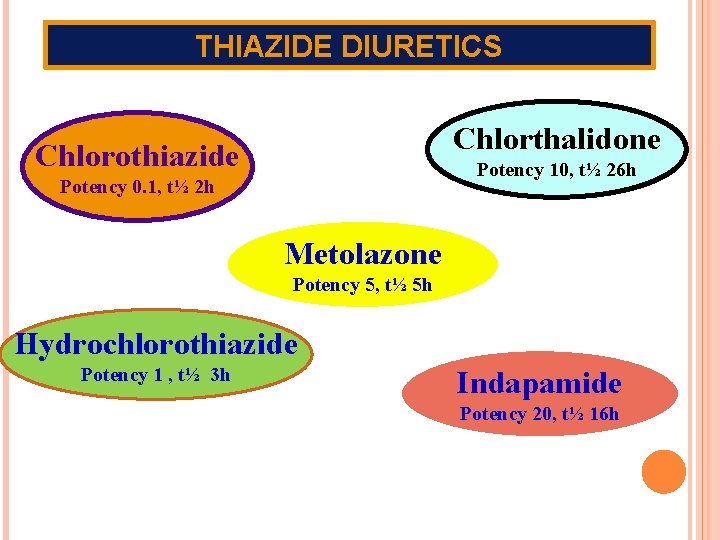 THIAZIDE DIURETICS Chlorthalidone Chlorothiazide Potency 10, t½ 26 h Potency 0. 1, t½ 2