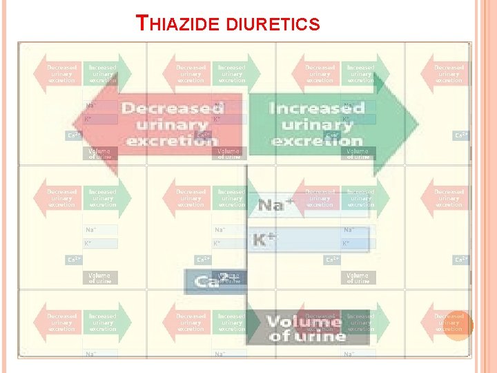 THIAZIDE DIURETICS 