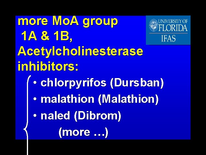 more Mo. A group 1 A & 1 B, Acetylcholinesterase inhibitors: • chlorpyrifos (Dursban)