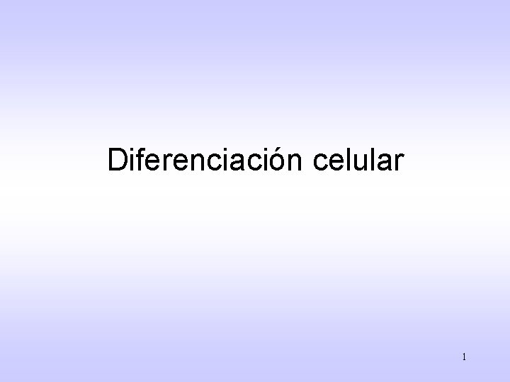 Diferenciación celular 1 