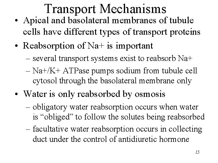 Transport Mechanisms • Apical and basolateral membranes of tubule cells have different types of Transport Mechanisms • Apical and basolateral membranes of tubule cells have different types of