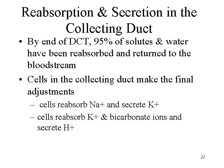Reabsorption & Secretion in the Collecting Duct • By end of DCT, 95% of Reabsorption & Secretion in the Collecting Duct • By end of DCT, 95% of