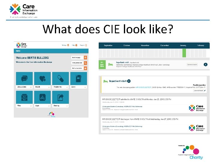 What does CIE look like? What does CIE look like?