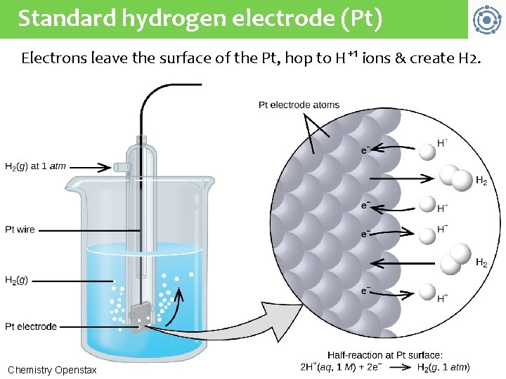 Standard hydrogen electrode (Pt) Electrons leave the surface of the Pt, hop to H+1