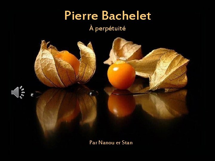 Pierre Bachelet À perpétuité Par Nanou er Stan 