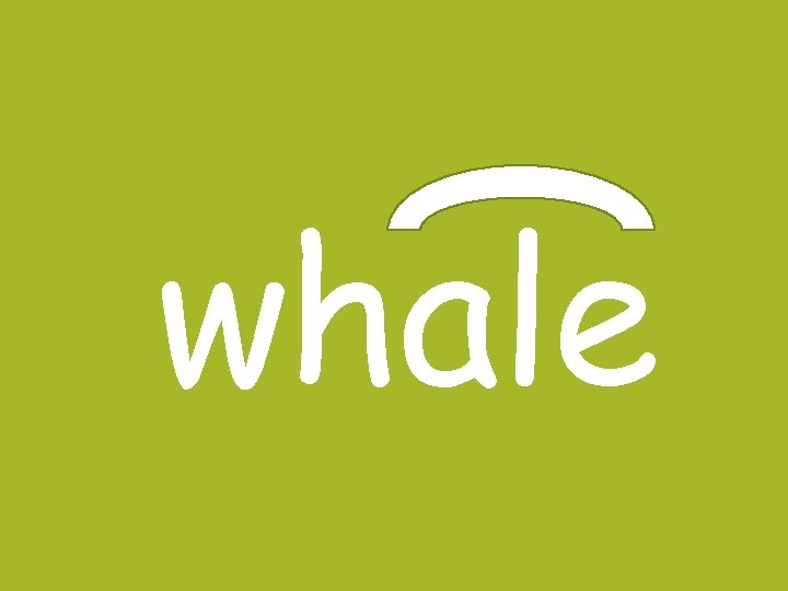 whale 