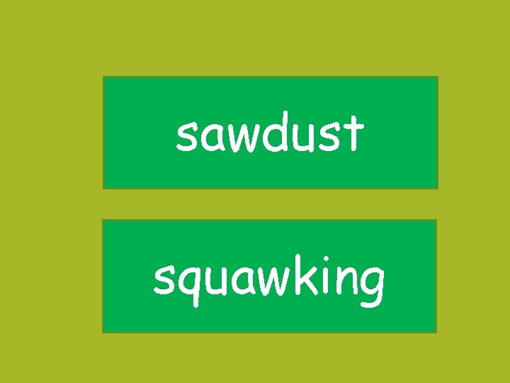 sawdust squawking 