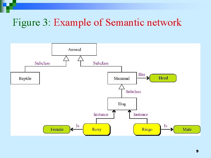 Figure 3: Example of Semantic network 9 