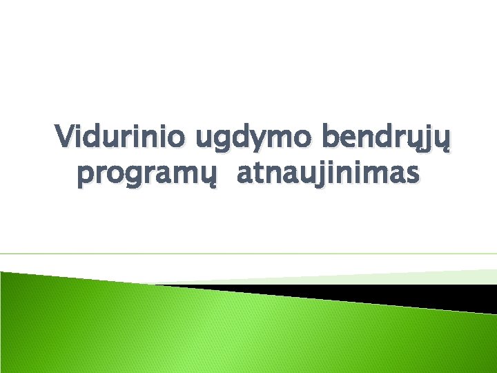 Vidurinio ugdymo bendrųjų programų atnaujinimas 