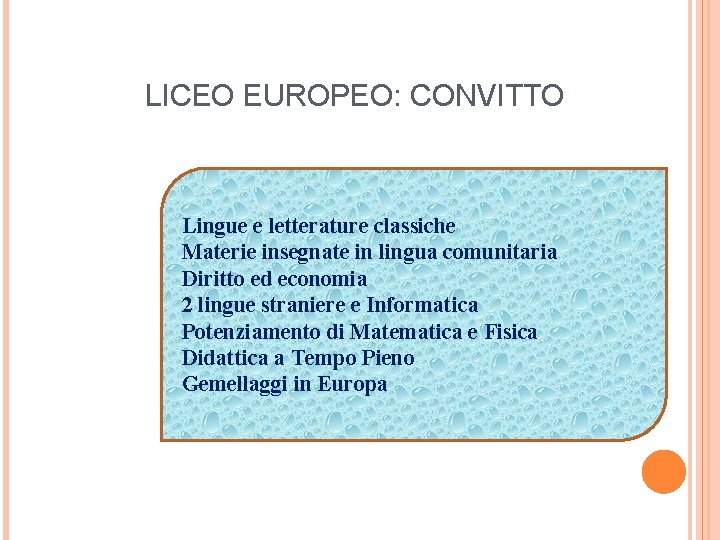 LICEO EUROPEO: CONVITTO Lingue e letterature classiche Materie insegnate in lingua comunitaria Diritto ed