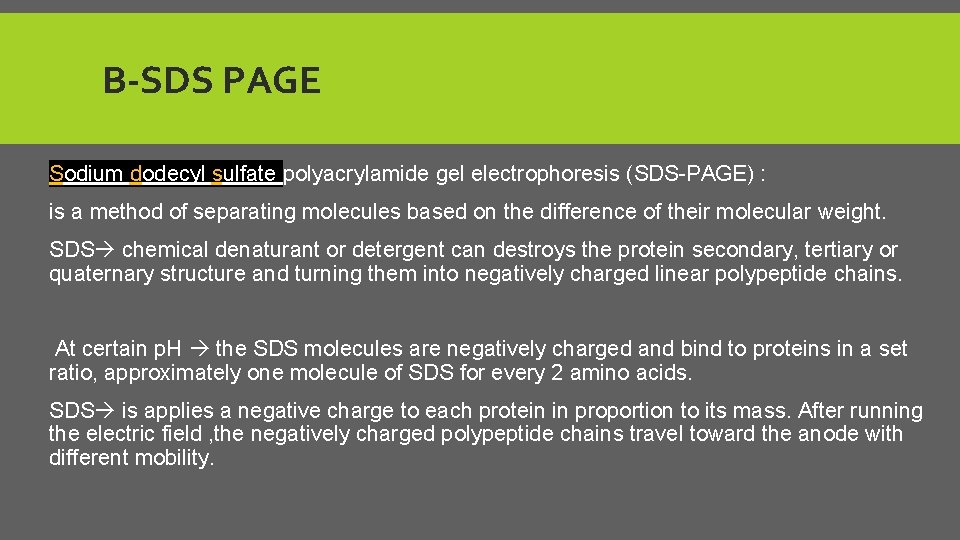 B-SDS PAGE Sodium dodecyl sulfate polyacrylamide gel electrophoresis (SDS-PAGE) : is a method of