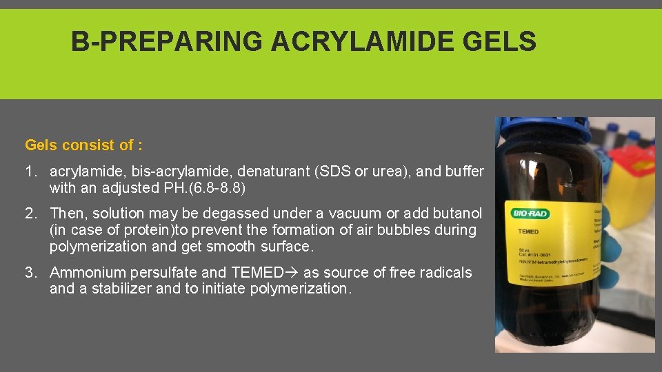 B-PREPARING ACRYLAMIDE GELS Gels consist of : 1. acrylamide, bis-acrylamide, denaturant (SDS or urea),