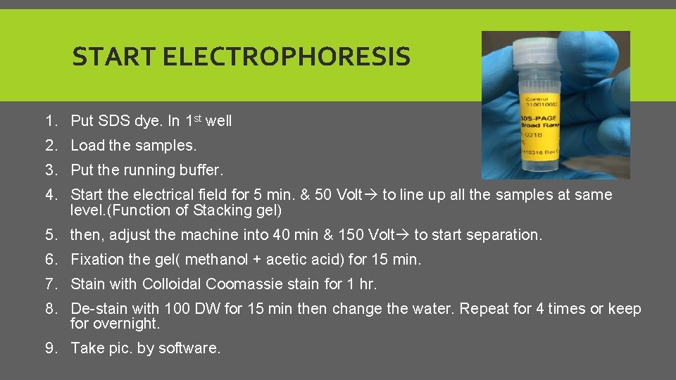 START ELECTROPHORESIS 1. Put SDS dye. In 1 st well 2. Load the samples.