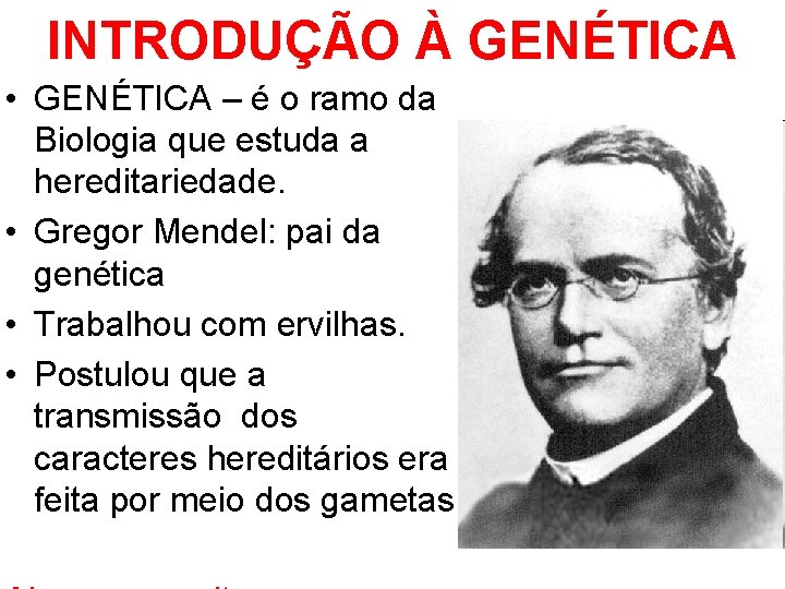 INTRODUÇÃO À GENÉTICA • GENÉTICA – é o ramo da Biologia que estuda a