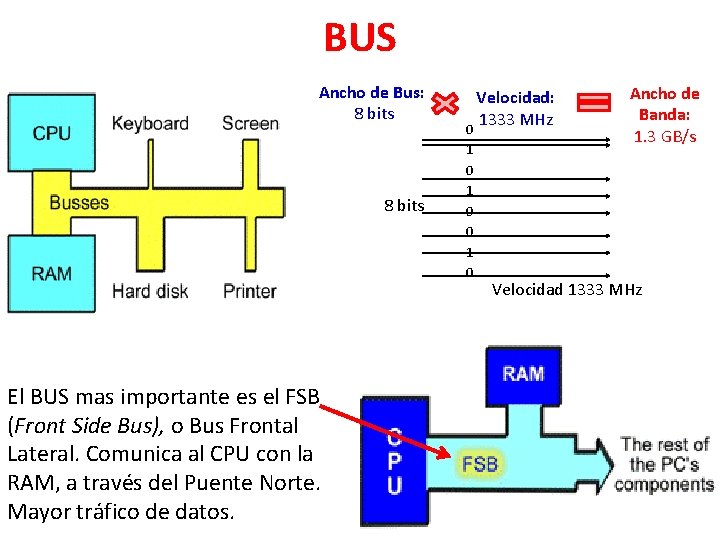 BUS Ancho de Bus: 8 bits El BUS mas importante es el FSB (Front