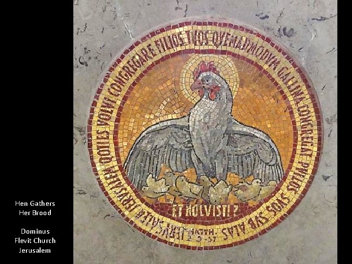 Hen Gathers Her Brood Dominus Flevit Church Jerusalem Hen Gathers Her Brood Dominus Flevit Church Jerusalem