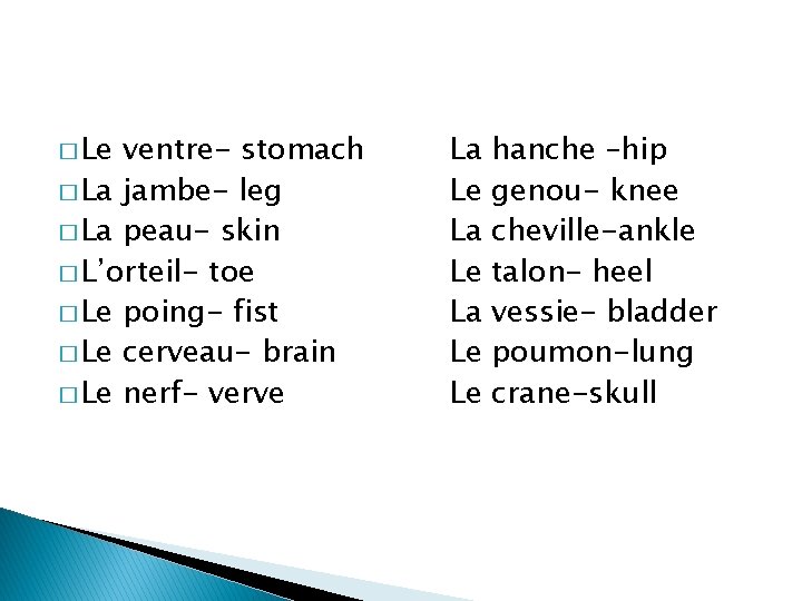 � Le ventre- stomach � La jambe- leg � La peau- skin � L’orteil-