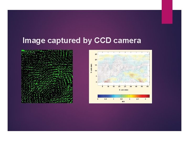 Image captured by CCD camera 