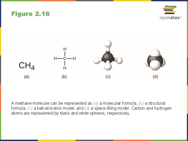 Figure 2. 16 A methane molecule can be represented as (a) a molecular formula,