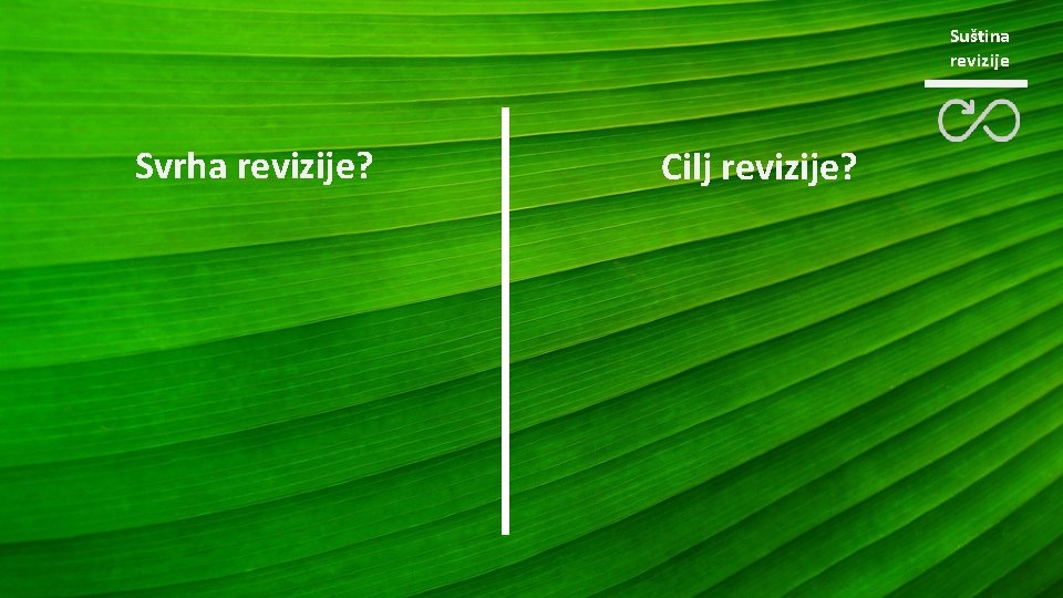 Suština revizije Svrha revizije? Cilj revizije? 