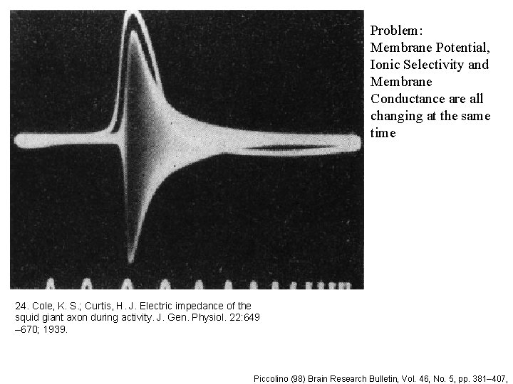 Problem: Membrane Potential, Ionic Selectivity and Membrane Conductance are all changing at the same
