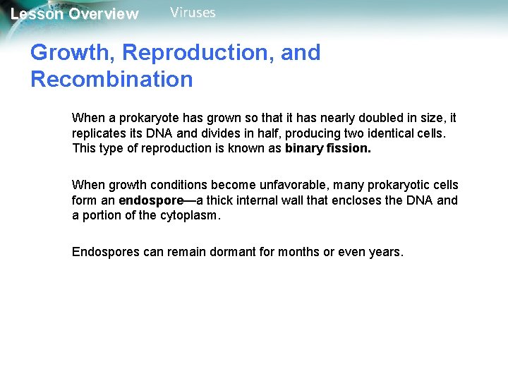 Lesson Overview Viruses Growth, Reproduction, and Recombination When a prokaryote has grown so that Lesson Overview Viruses Growth, Reproduction, and Recombination When a prokaryote has grown so that