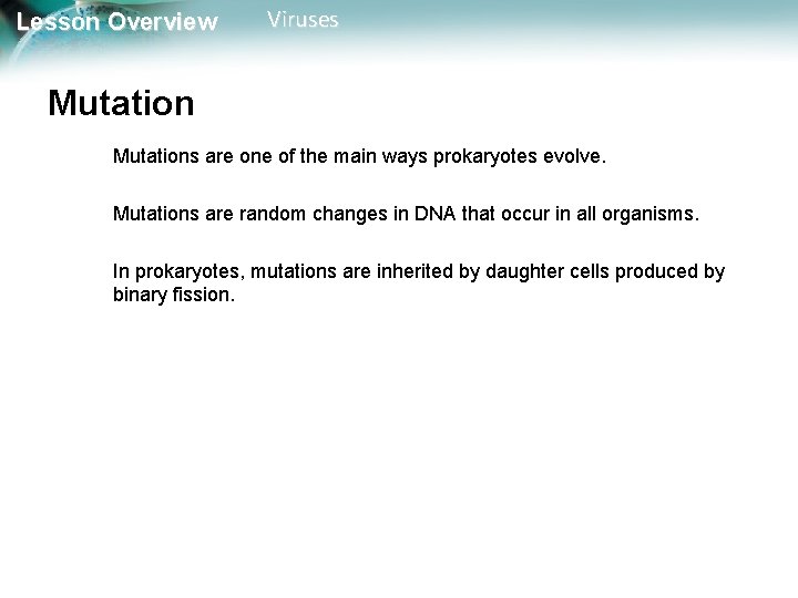 Lesson Overview Viruses Mutations are one of the main ways prokaryotes evolve. Mutations are Lesson Overview Viruses Mutations are one of the main ways prokaryotes evolve. Mutations are