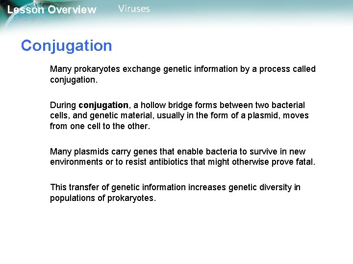 Lesson Overview Viruses Conjugation Many prokaryotes exchange genetic information by a process called conjugation. Lesson Overview Viruses Conjugation Many prokaryotes exchange genetic information by a process called conjugation.