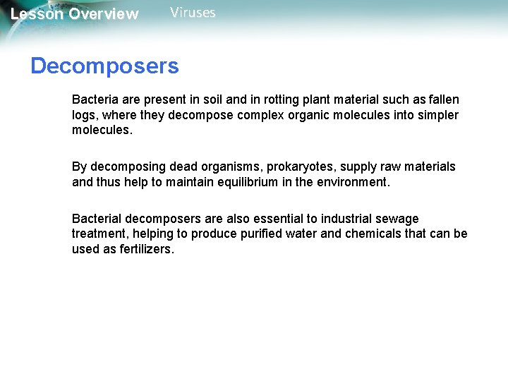 Lesson Overview Viruses Decomposers Bacteria are present in soil and in rotting plant material Lesson Overview Viruses Decomposers Bacteria are present in soil and in rotting plant material