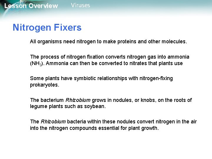 Lesson Overview Viruses Nitrogen Fixers All organisms need nitrogen to make proteins and other Lesson Overview Viruses Nitrogen Fixers All organisms need nitrogen to make proteins and other