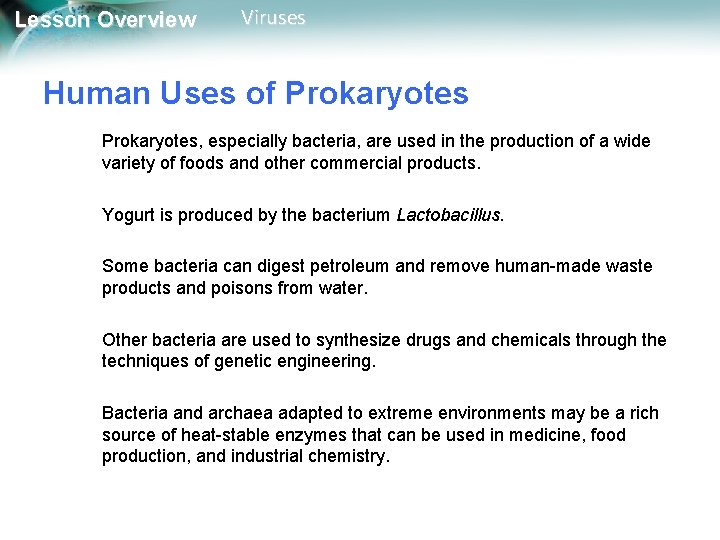 Lesson Overview Viruses Human Uses of Prokaryotes, especially bacteria, are used in the production Lesson Overview Viruses Human Uses of Prokaryotes, especially bacteria, are used in the production