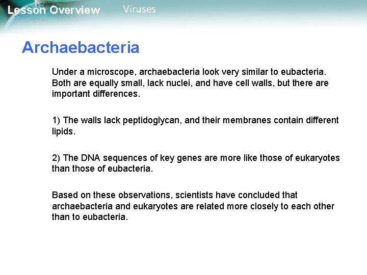 Lesson Overview Viruses Archaebacteria Under a microscope, archaebacteria look very similar to eubacteria. Both Lesson Overview Viruses Archaebacteria Under a microscope, archaebacteria look very similar to eubacteria. Both