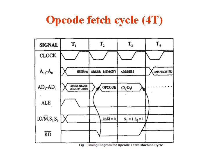 Opcode fetch cycle (4 T) 