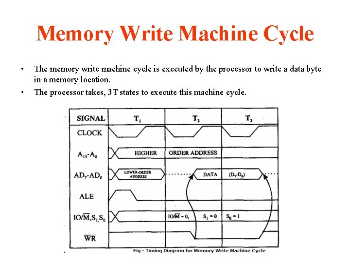 Memory Write Machine Cycle • • The memory write machine cycle is executed by