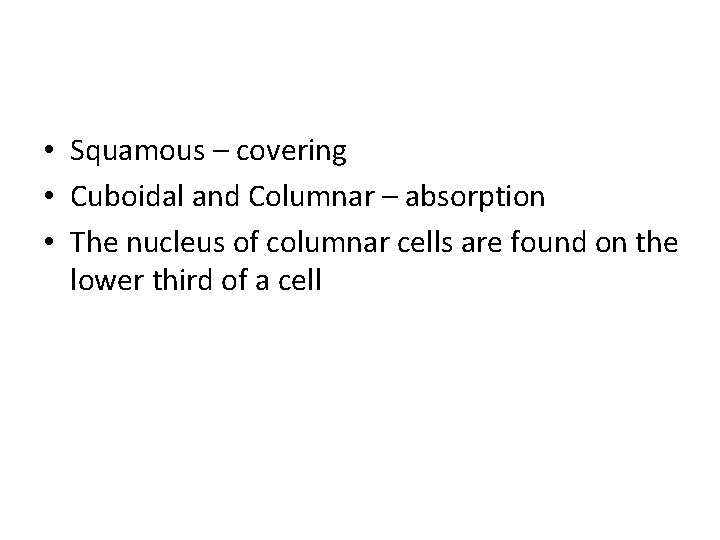  • Squamous – covering • Cuboidal and Columnar – absorption • The nucleus