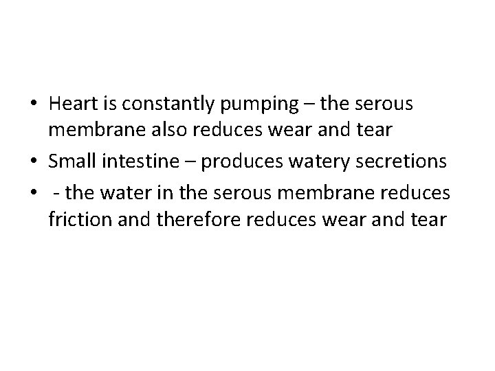  • Heart is constantly pumping – the serous membrane also reduces wear and