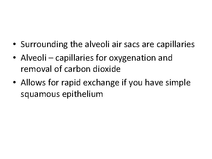  • Surrounding the alveoli air sacs are capillaries • Alveoli – capillaries for