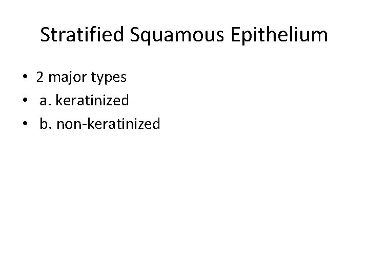 Stratified Squamous Epithelium • 2 major types • a. keratinized • b. non-keratinized 