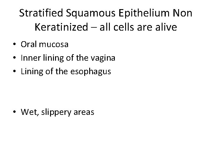 Stratified Squamous Epithelium Non Keratinized – all cells are alive • Oral mucosa •