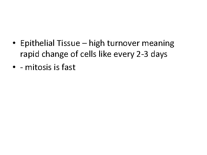  • Epithelial Tissue – high turnover meaning rapid change of cells like every