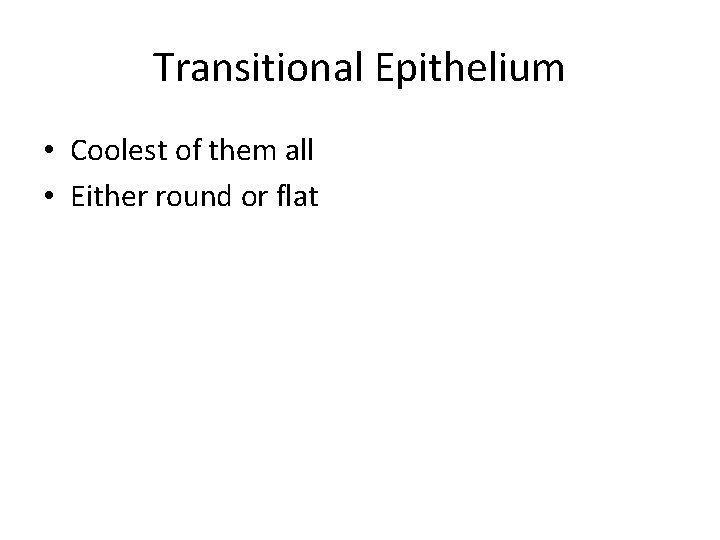 Transitional Epithelium • Coolest of them all • Either round or flat 