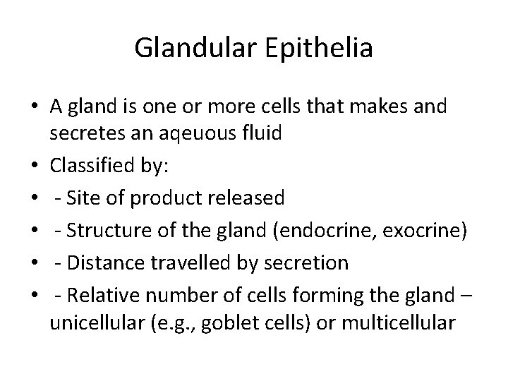 Glandular Epithelia • A gland is one or more cells that makes and secretes