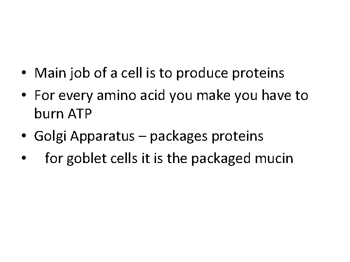 • Main job of a cell is to produce proteins • For every