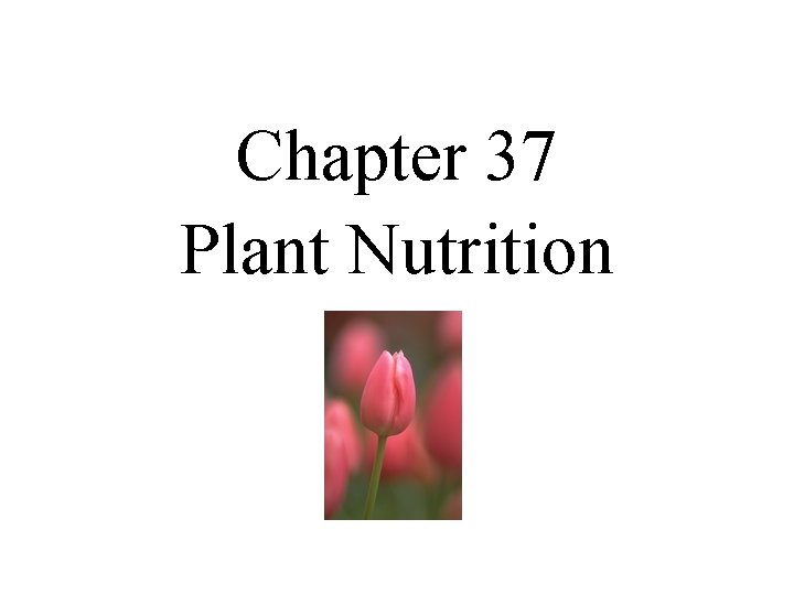 Chapter 37 Plant Nutrition 