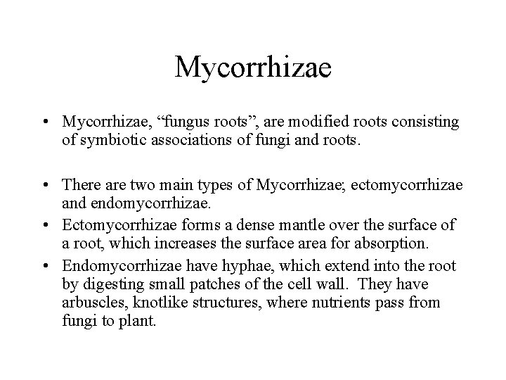Mycorrhizae • Mycorrhizae, “fungus roots”, are modified roots consisting of symbiotic associations of fungi