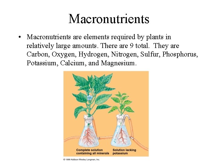 Macronutrients • Macronutrients are elements required by plants in relatively large amounts. There are