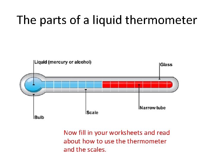 The parts of a liquid thermometer Now fill in your worksheets and read about