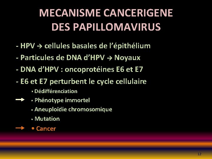 MECANISME CANCERIGENE DES PAPILLOMAVIRUS - HPV cellules basales de l’épithélium - Particules de DNA